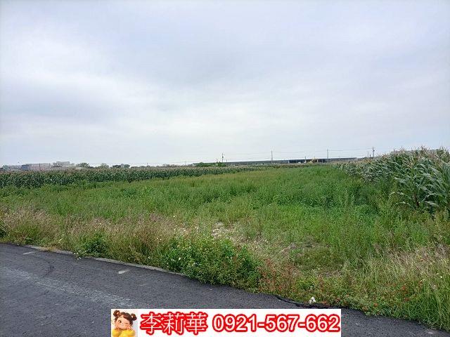 台南七股農地-5