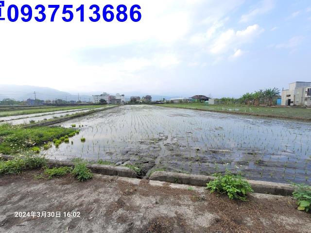 員山農地-3