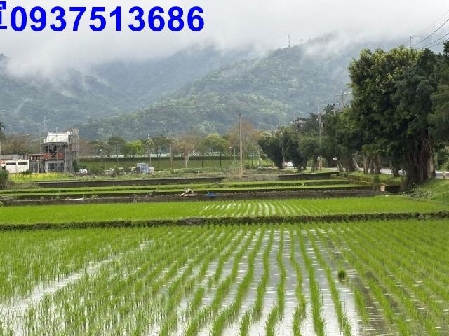 宜蘭市農地-12