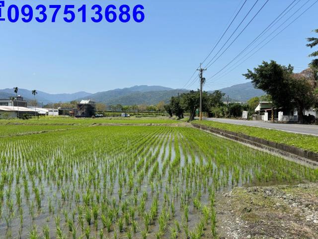 宜蘭市農地-4