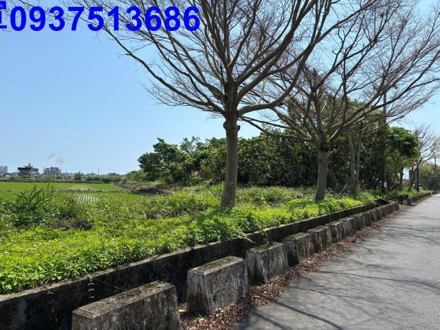 宜蘭市農地-6