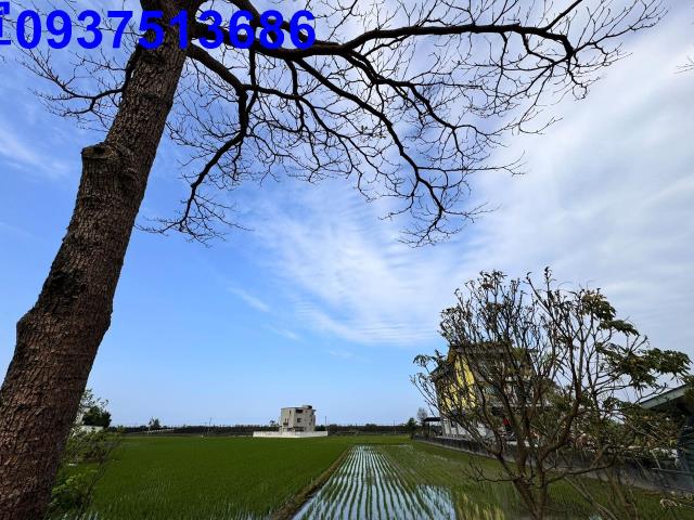 壯圍農地-6