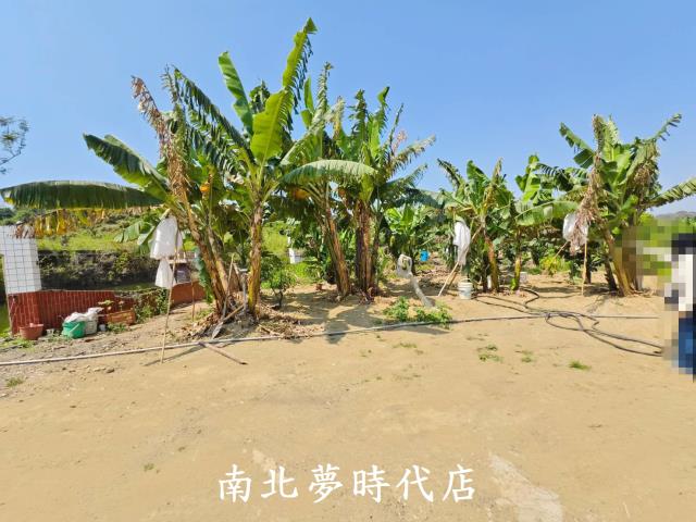 台南新化農地-12