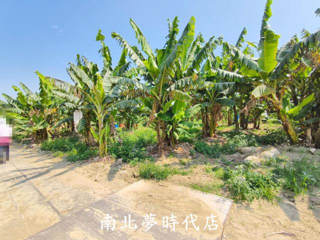台南新化農地-5