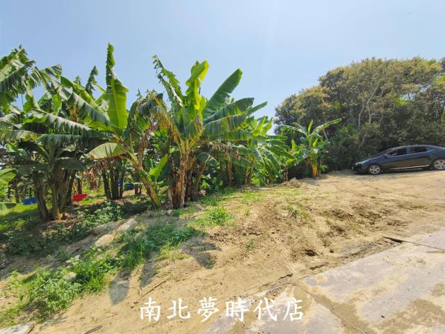 台南新化農地-6