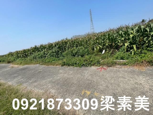 台南新營農地-10