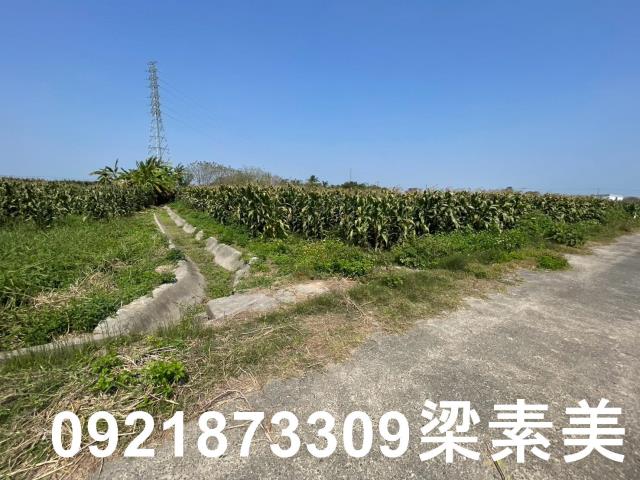 台南新營農地-11