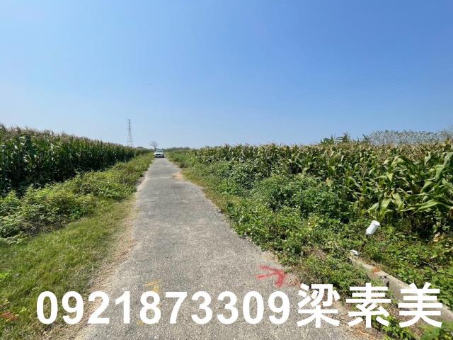 台南新營農地-7