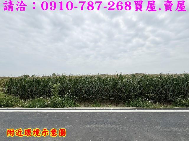 台南下營農地-13