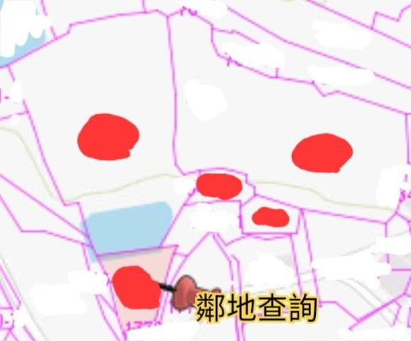 台南新化農地-11