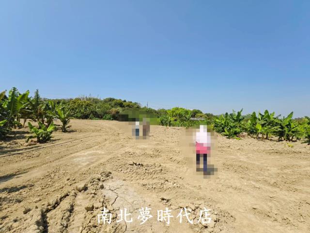 台南新化農地-1
