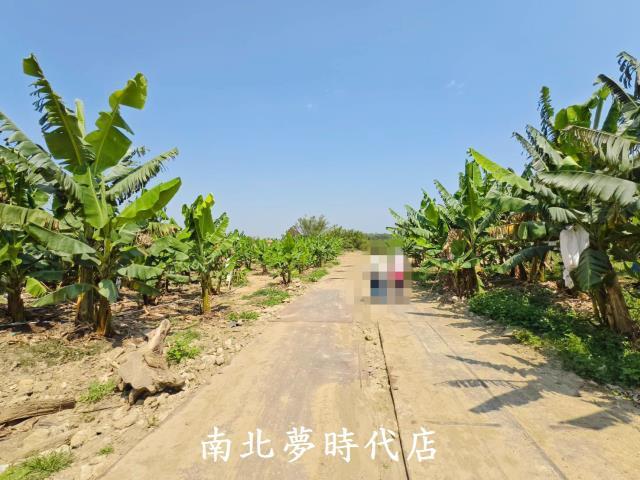 台南新化農地-4