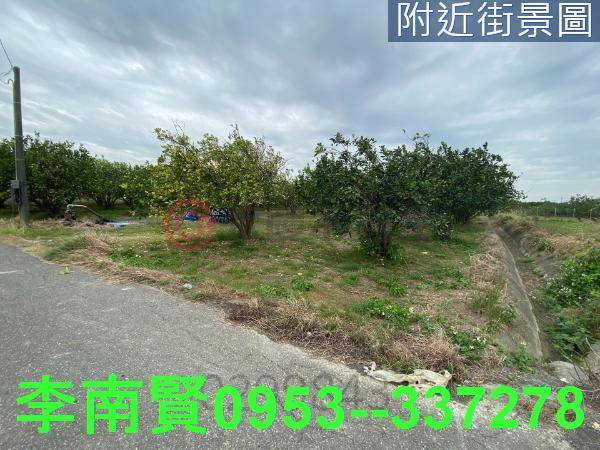 麻豆農地-1