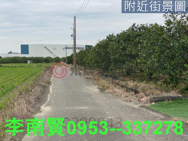 麻豆農地-2