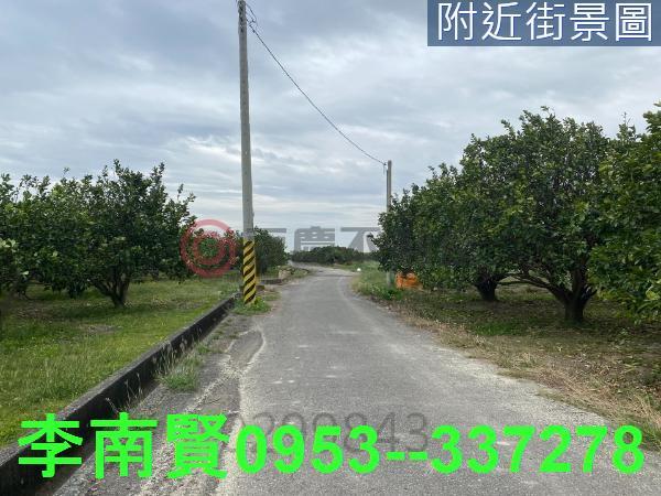麻豆農地-5