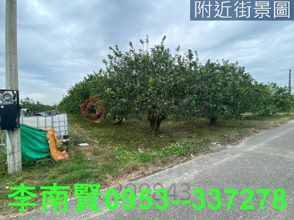 麻豆農地-6