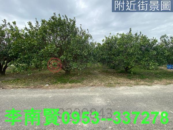 麻豆農地-7