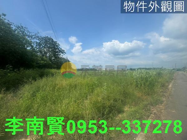 台南新市農地-4