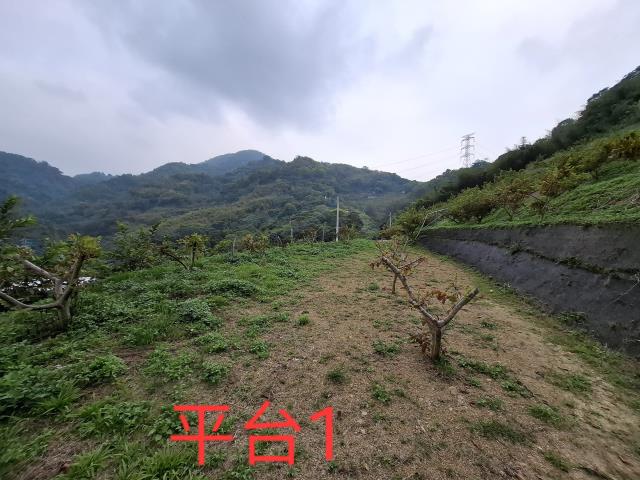 東勢農地-1