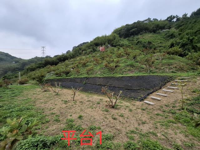 東勢農地-2