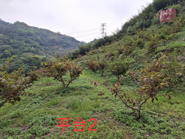 東勢農地-5