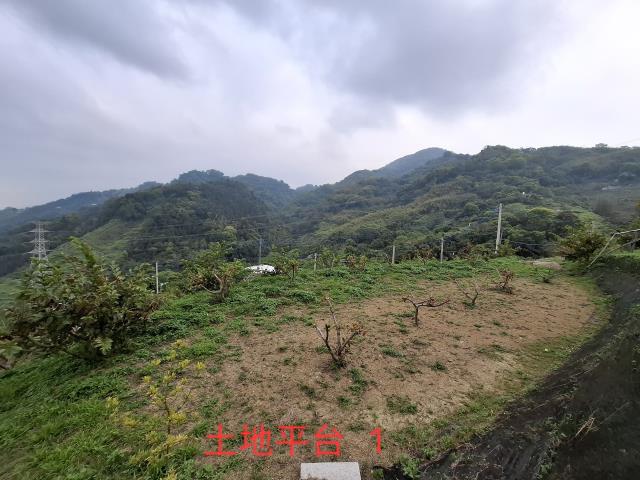 東勢農地-7