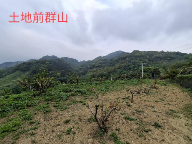 東勢農地-9