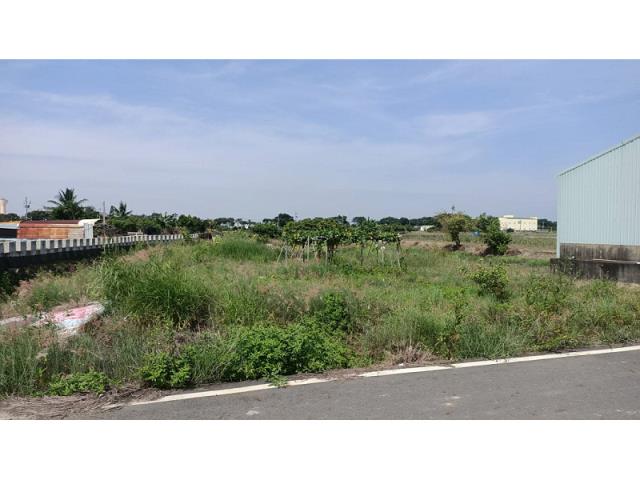 新市農地-10