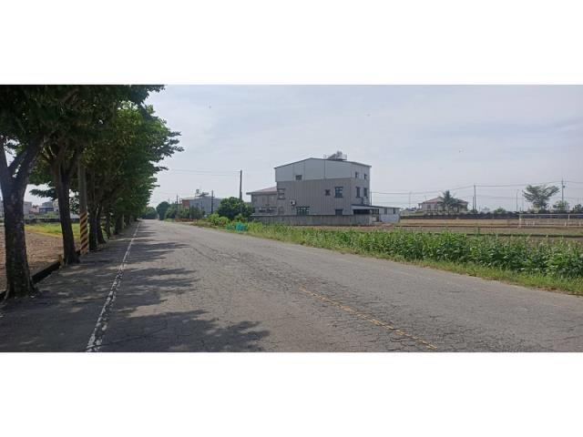 新市農地-1