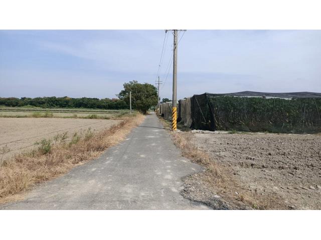 新市農地-7