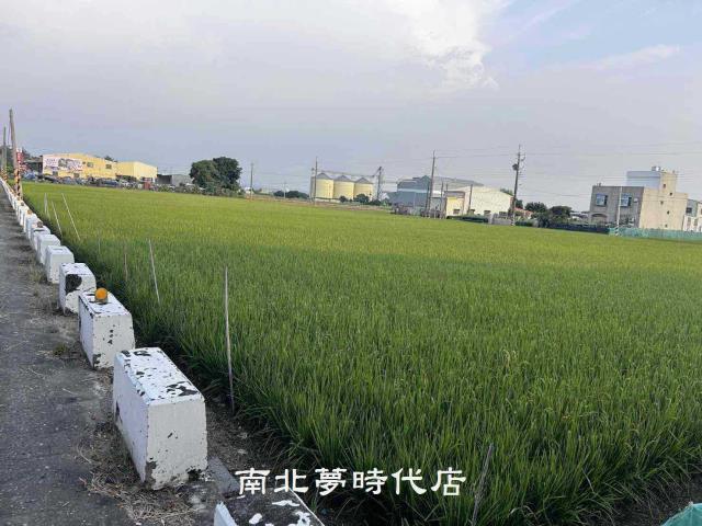 六甲農地-2