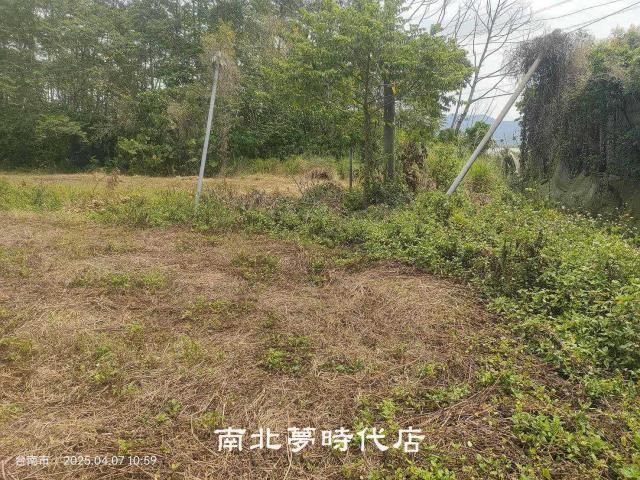 台南農地-2