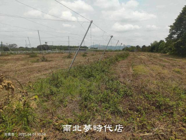 台南農地-6