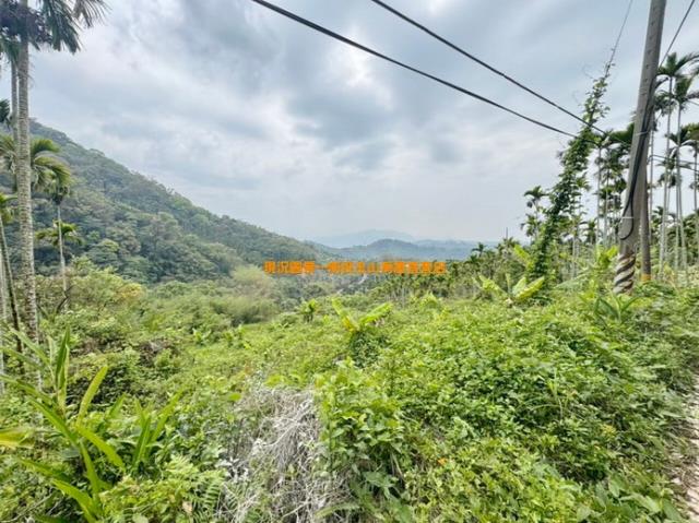 南投中寮山坡地-2