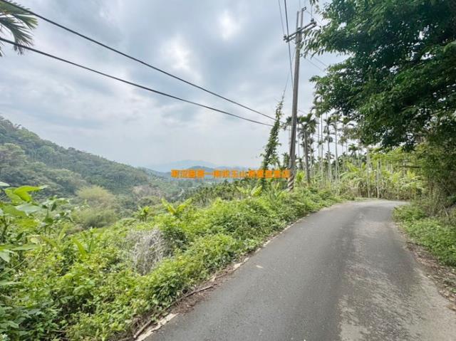 南投中寮山坡地-3