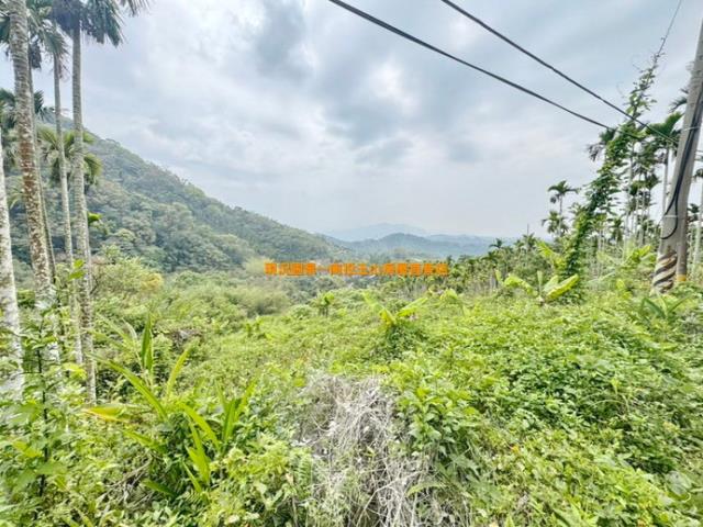 南投中寮山坡地-4