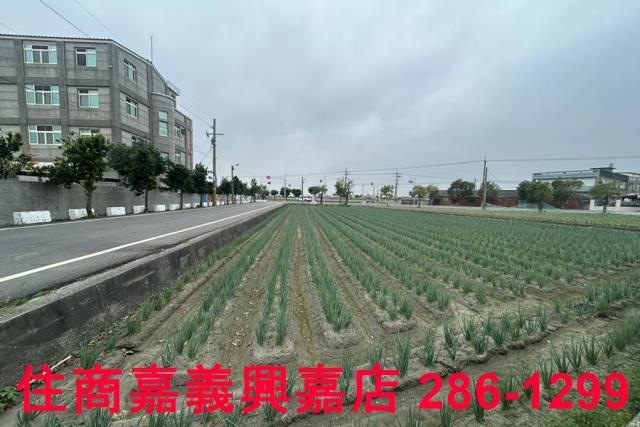 褒忠建地-2