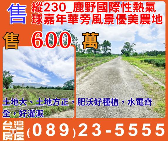 台東鹿野農地-1