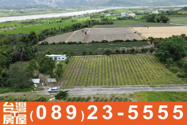 台東鹿野農地-4