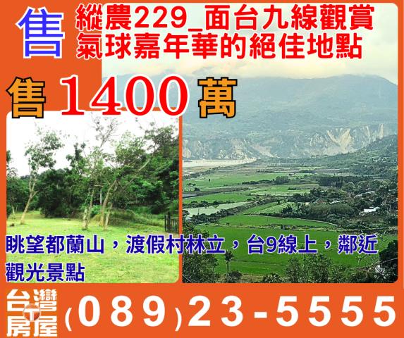 卑南農地-1