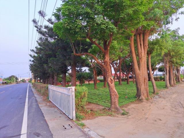 七股農地-8