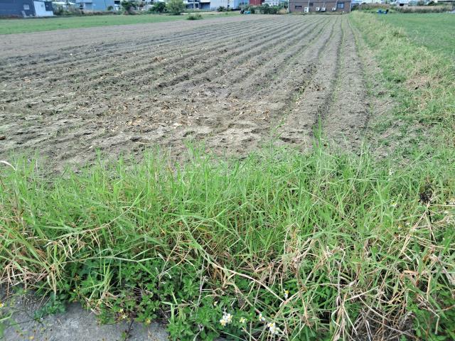永康農地-5