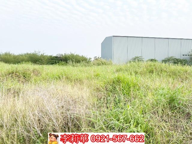 關廟農地-7