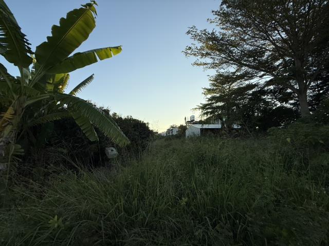 善化工業地-4