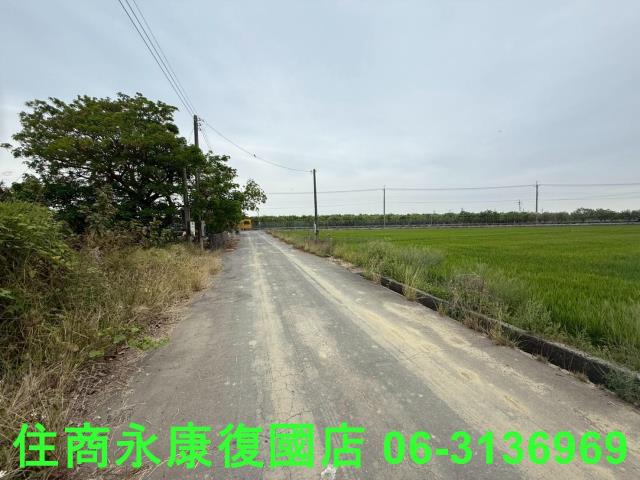 麻豆農地-3