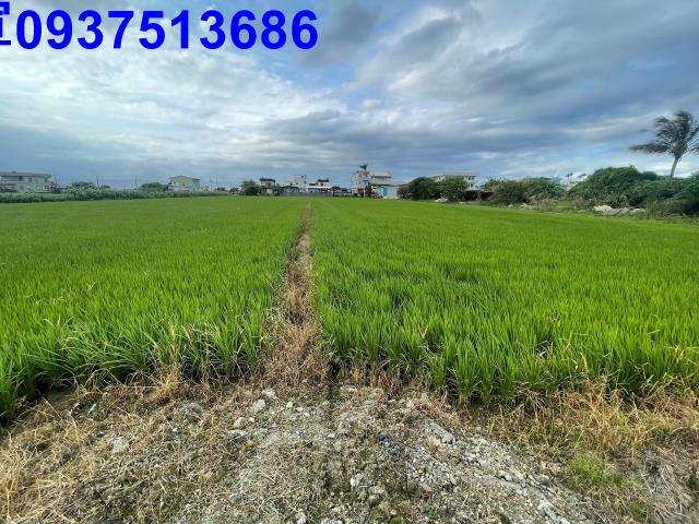 宜蘭壯圍農地-2