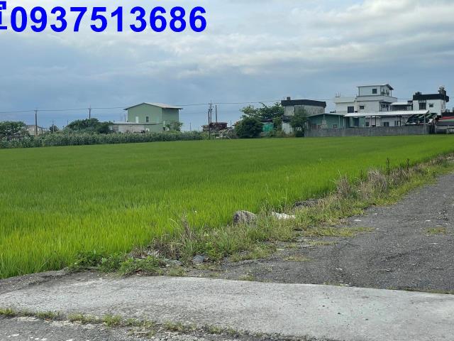 宜蘭壯圍農地-5