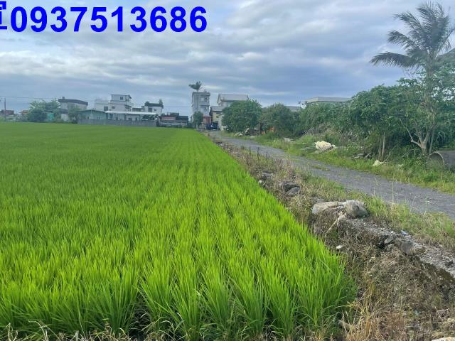 宜蘭壯圍農地-9