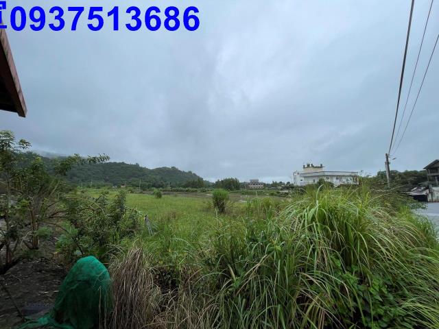 員山農地-2