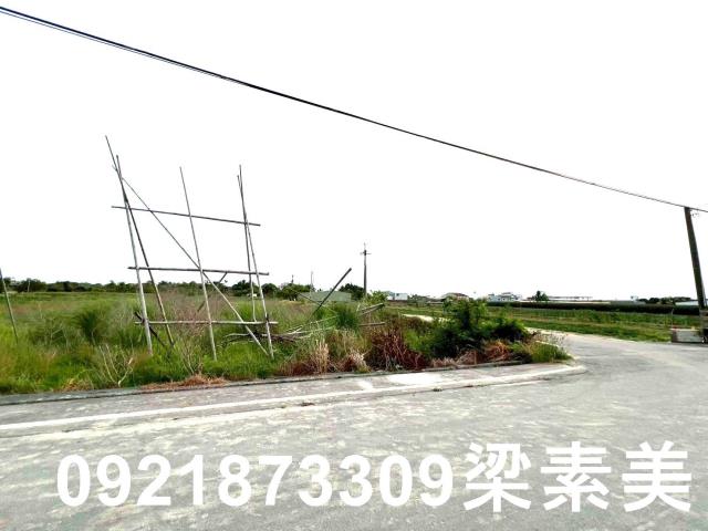 台南農地-3
